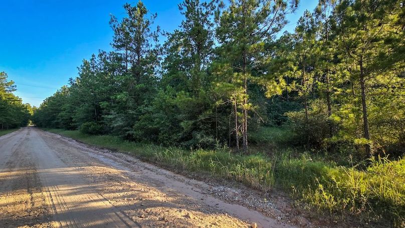 Copy of 20240704_191404