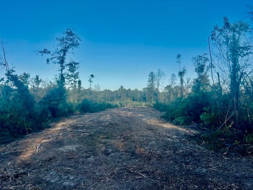 05CDF15C-09DB-4242-9CFC-11E3EE76DBB9_1_105_c