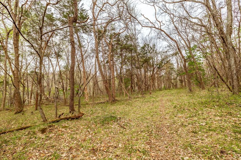 30-web-or-mls-Wolf Hill-8