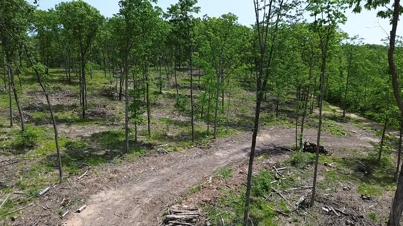 2024-05-24-12-56-54-899