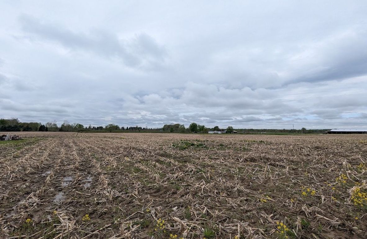 PXL_20250508_185443776