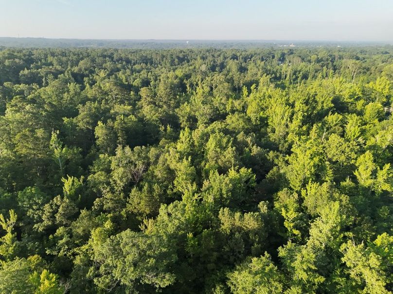DJI_20250627073057_0047_V