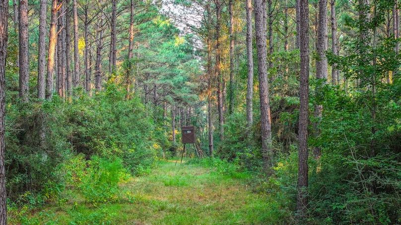 DJI_20250918174718_0170_D