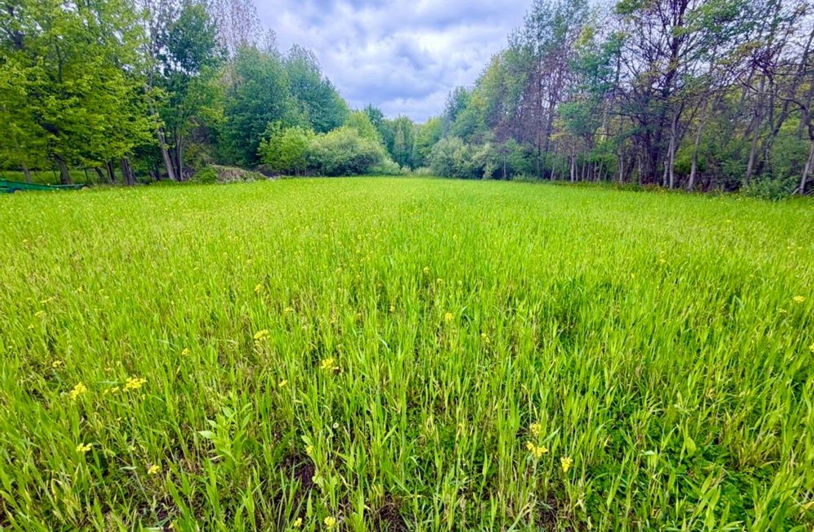 1 Food Plot