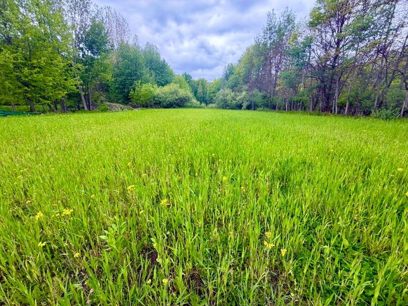 1 Food Plot