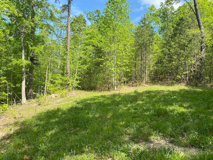 008 small wildlife foodplot along the top of the middle ridge copy