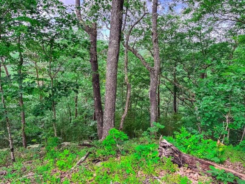 Wirt, WV 137.45 AC Full-35