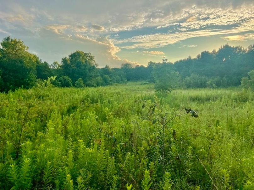 6F13877A-3117-44FE-9ACD-DF352BEDD11C_1_105_c