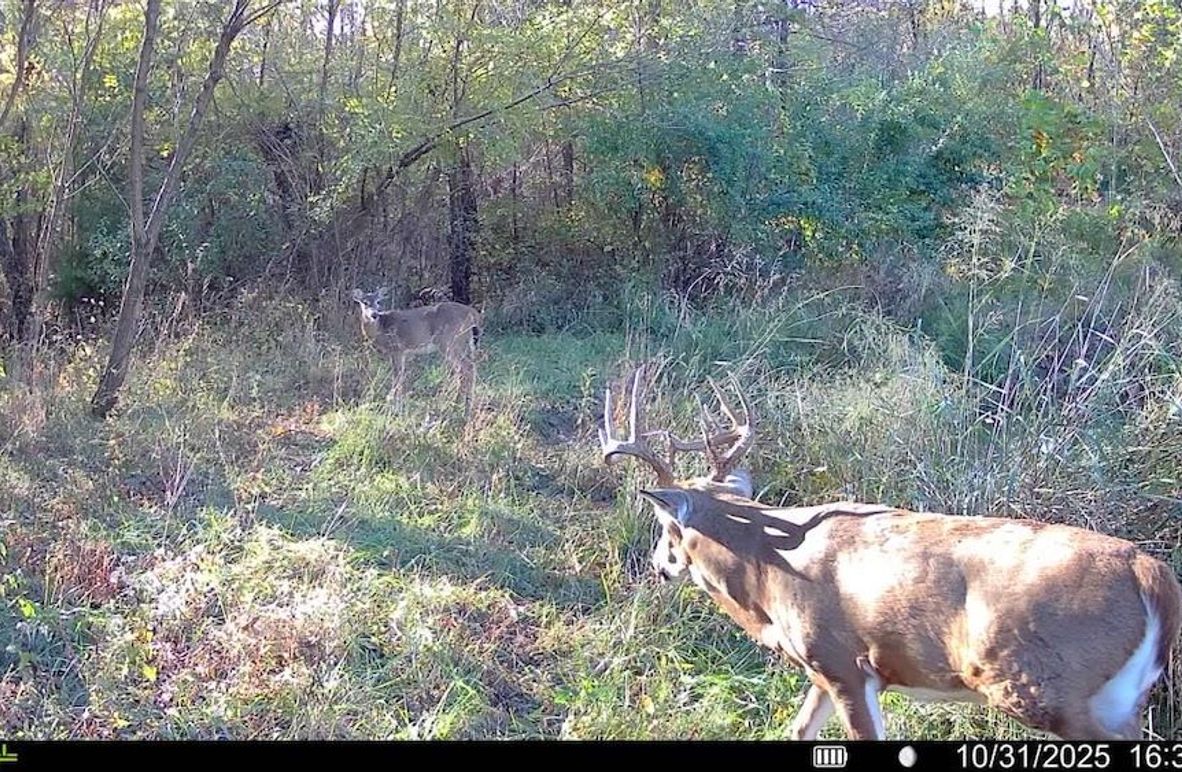 2 - 2026-01-30T110920.176