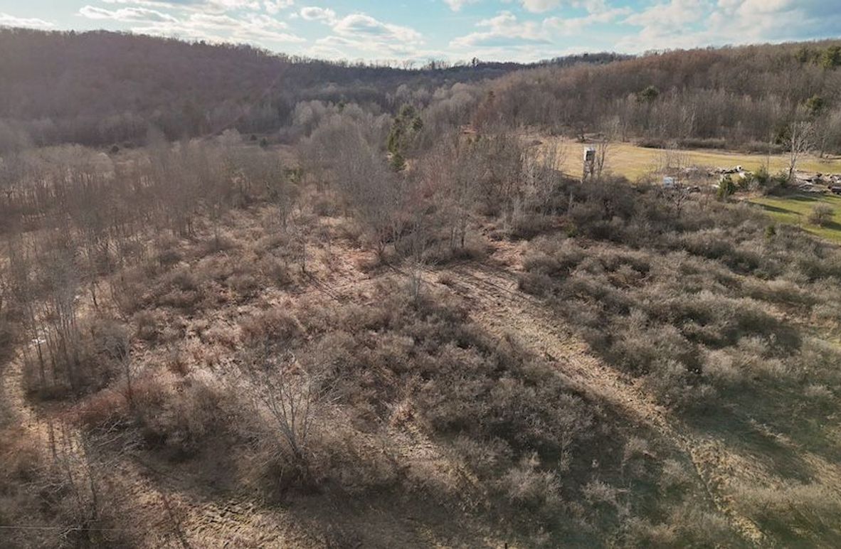 Chemung_59.65_Kocsis_photos_5