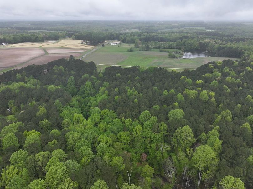 DJI_20250411111330_0034_D