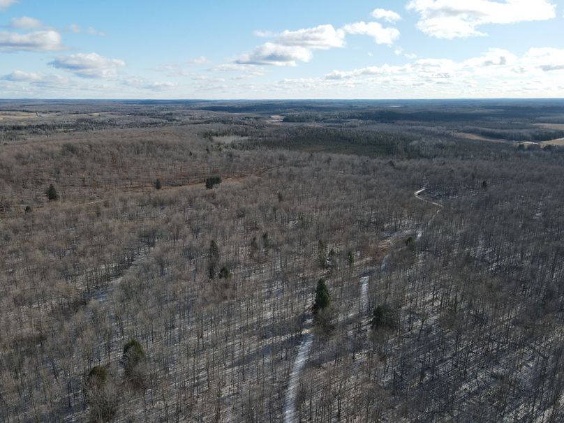 DJI_0836