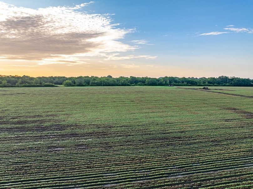 Copy of Noxubee 40 Tract 2-13