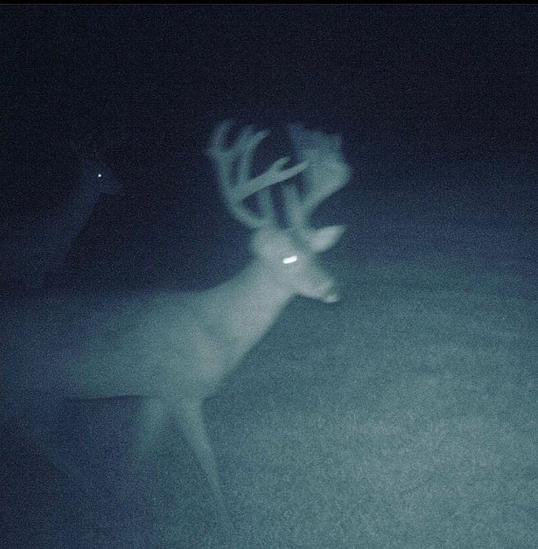 83A81BD5-AC00-4DCB-B2DF-DF6379F7BCFF