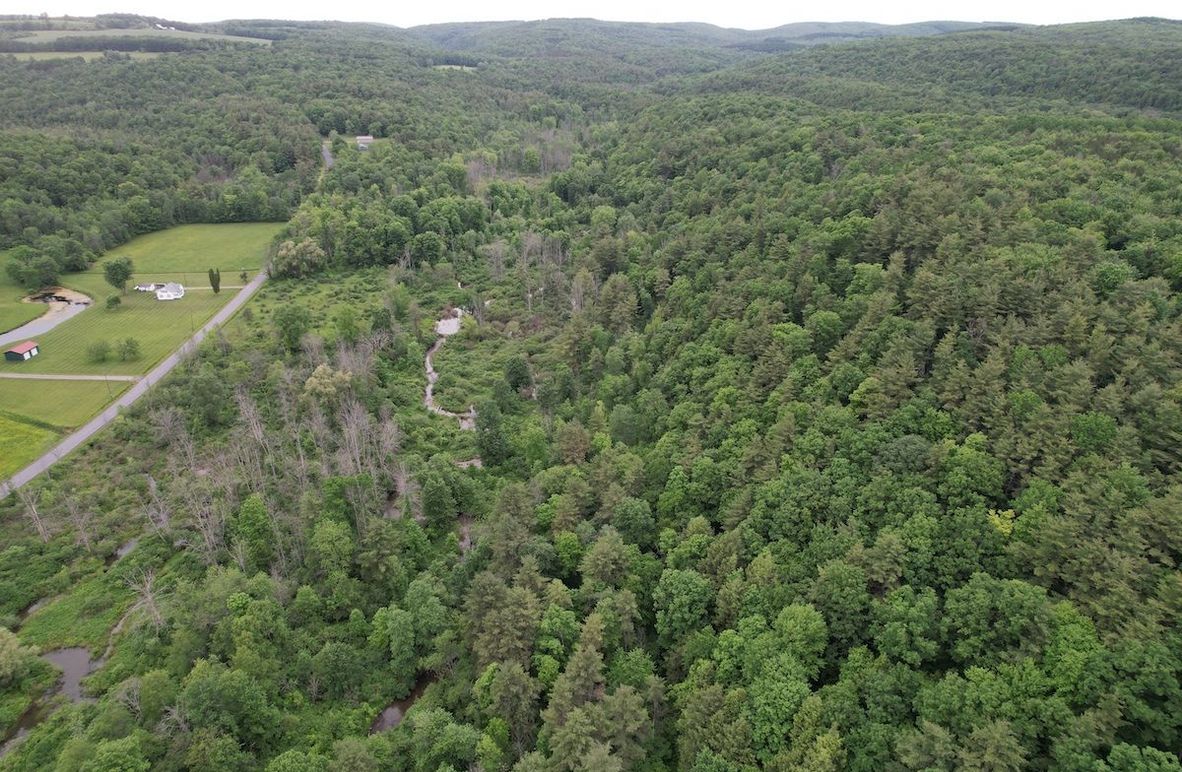 Schuyler_146.53_Morrow_Photos_2