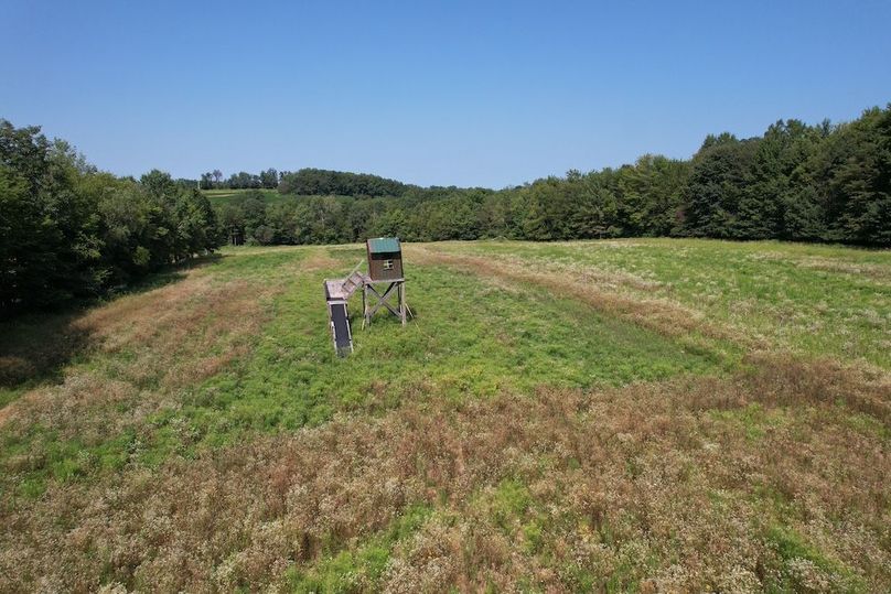 Copy of dji_fly_20250808_105932_144_1754665498846_photo