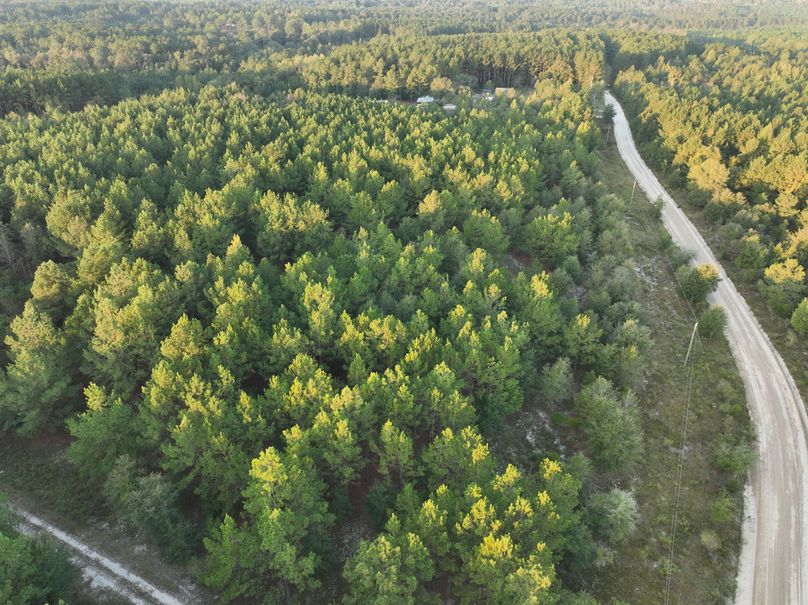 dji_fly_20230925_074908_750_1695642639200_photo