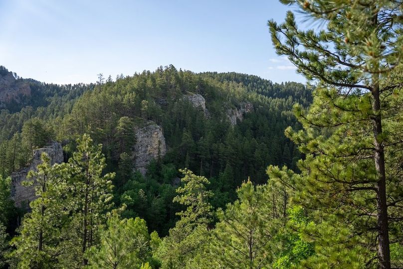 Lawrence SD 50 Featured_ProPhoto