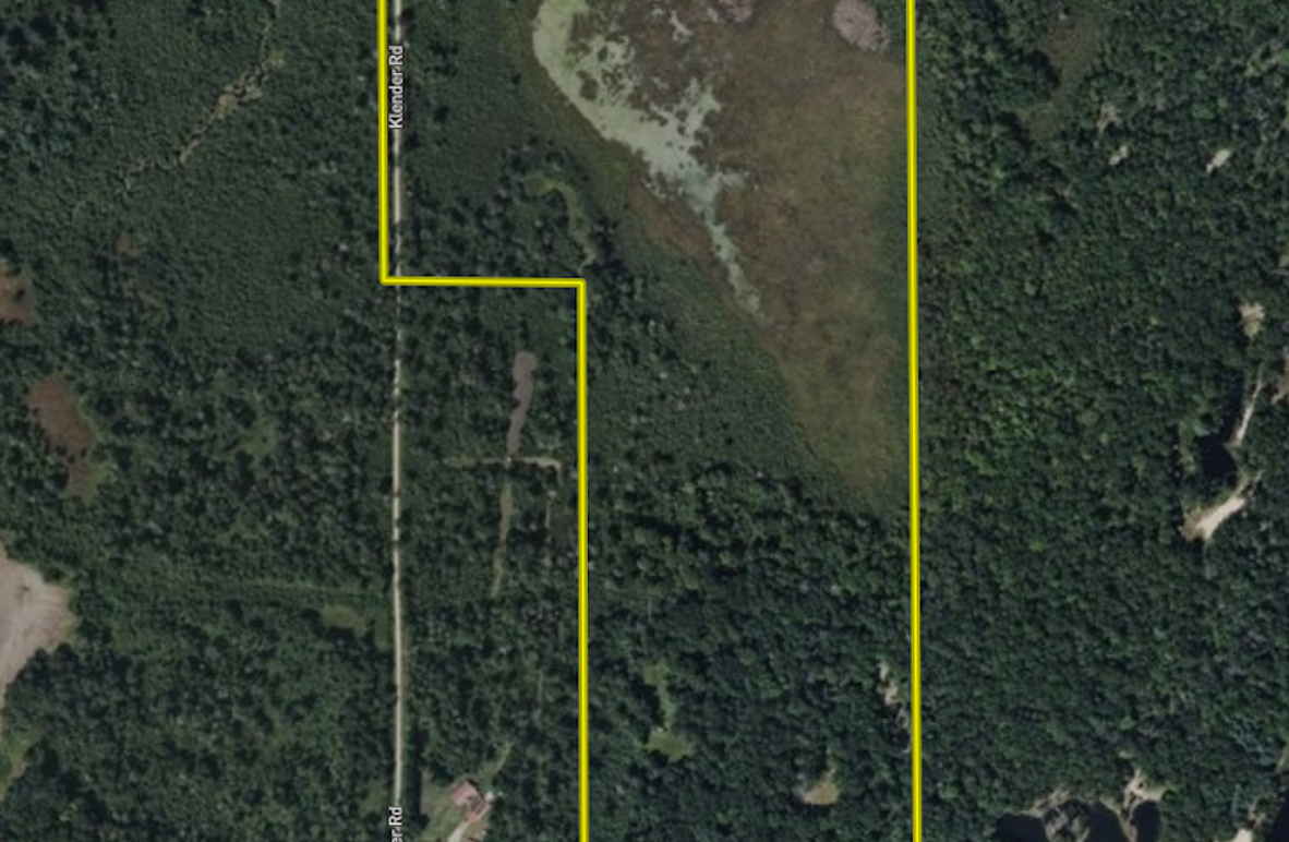 Screen Shot 2025-07-15 at 9.51.49 AM