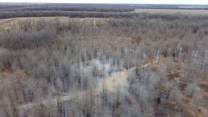 2024-02-29-15-47-56-279