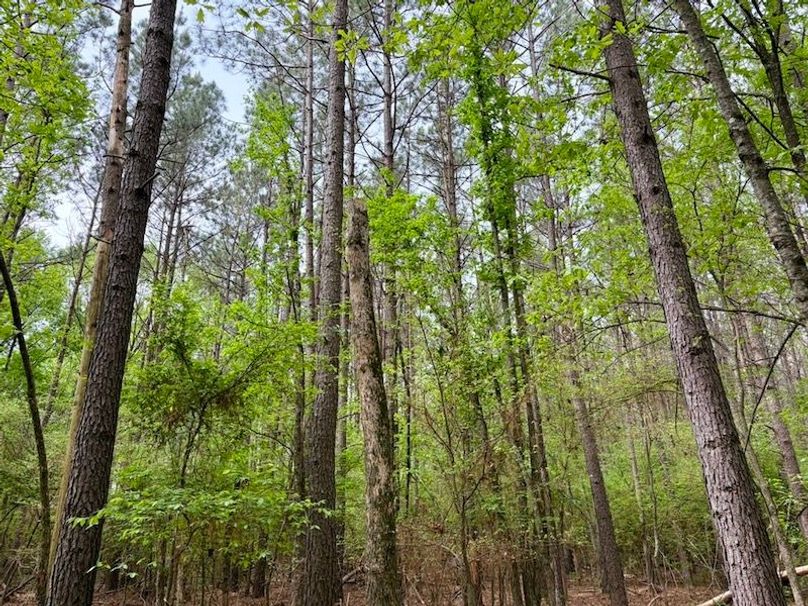 FBF0AB99-3C5D-4F76-B139-D6271BC31B83_1_105_c