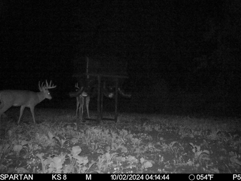 File Oct 13 2024, 12 07 14 PM