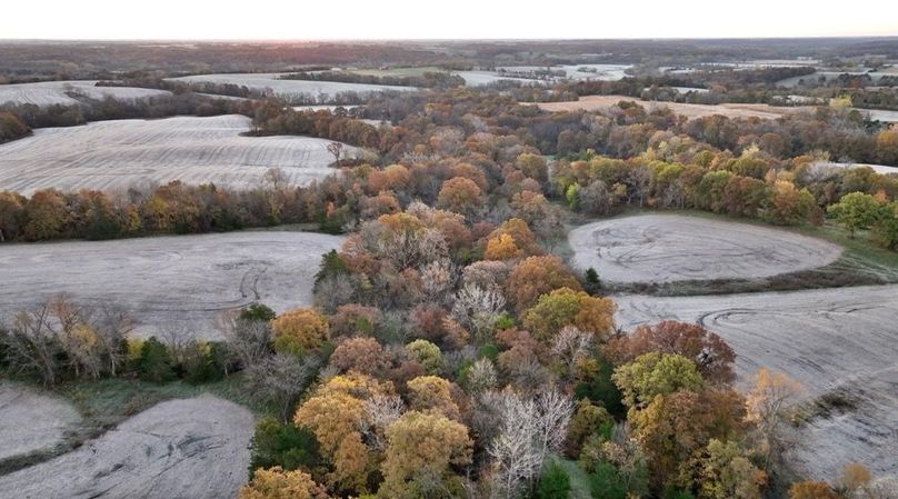 Screenshot 2025-11-20 at 10.02.29 AM