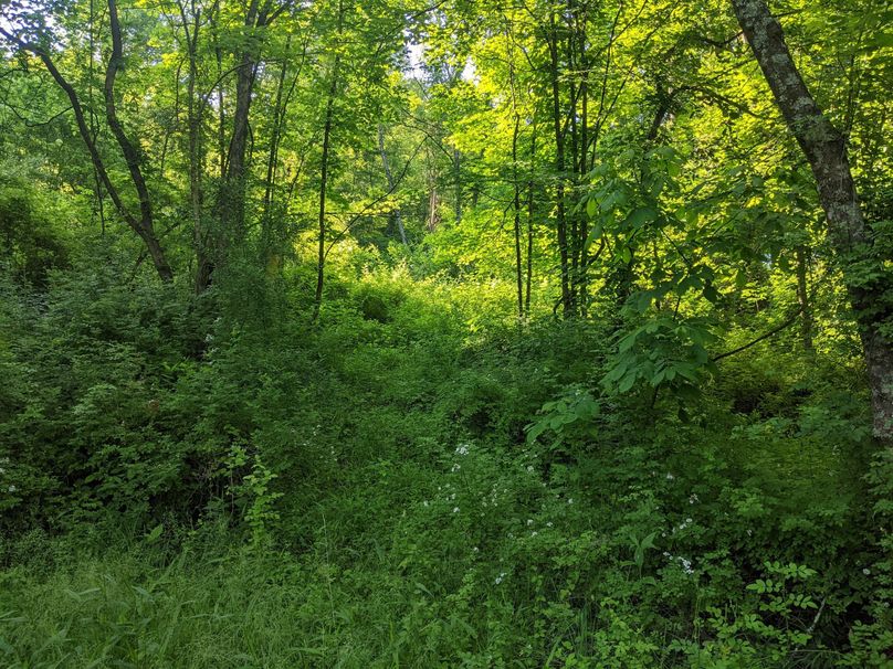 PXL_20230602_130414222