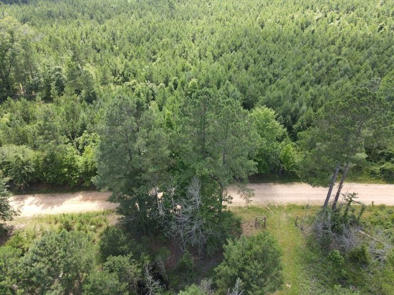DJI_0381