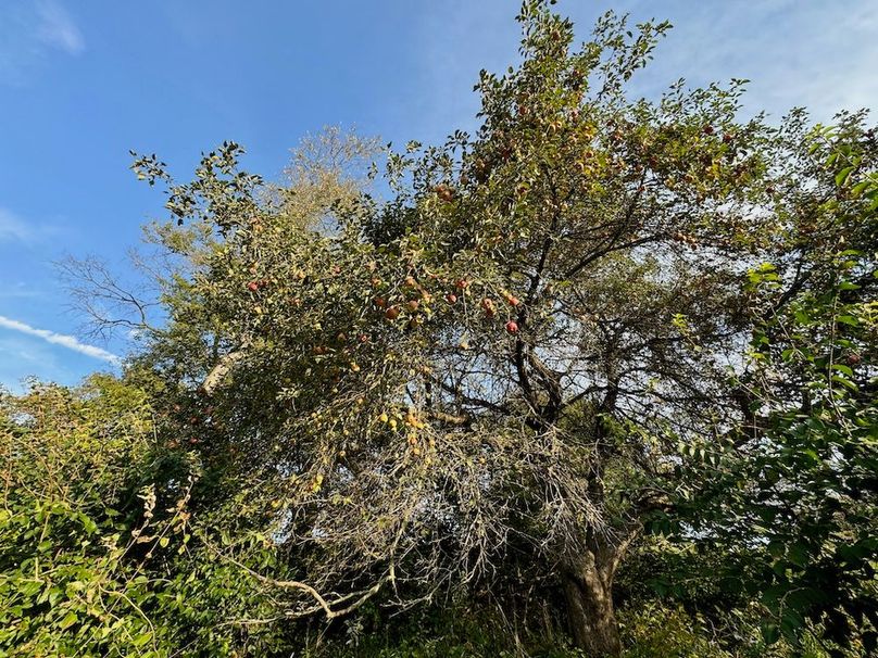 Richland 199Ground - 34