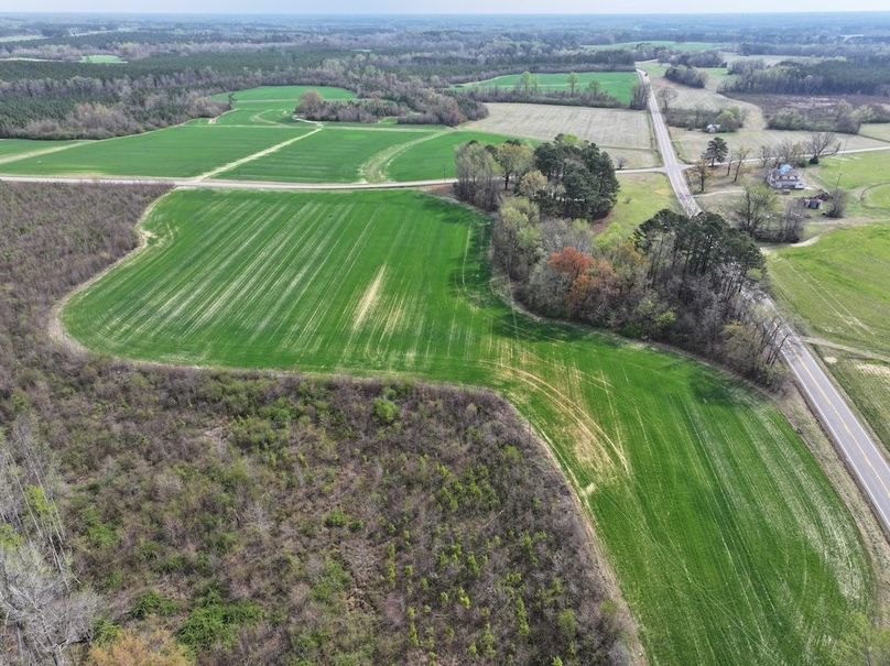 DJI_20260303062751_0520_D