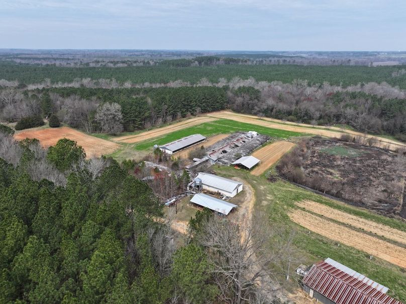 DJI_20240316121605_0008_D