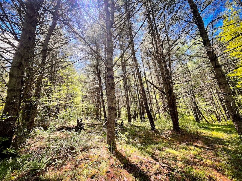 Tioga_28.322_VanNordstrand_Photos_41