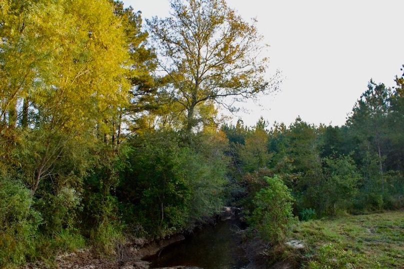 F1A1E8EE-38FE-4787-BFC1-5C9321E1F343_1_105_c