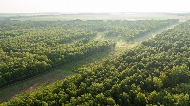 MadisonParLa1372-089