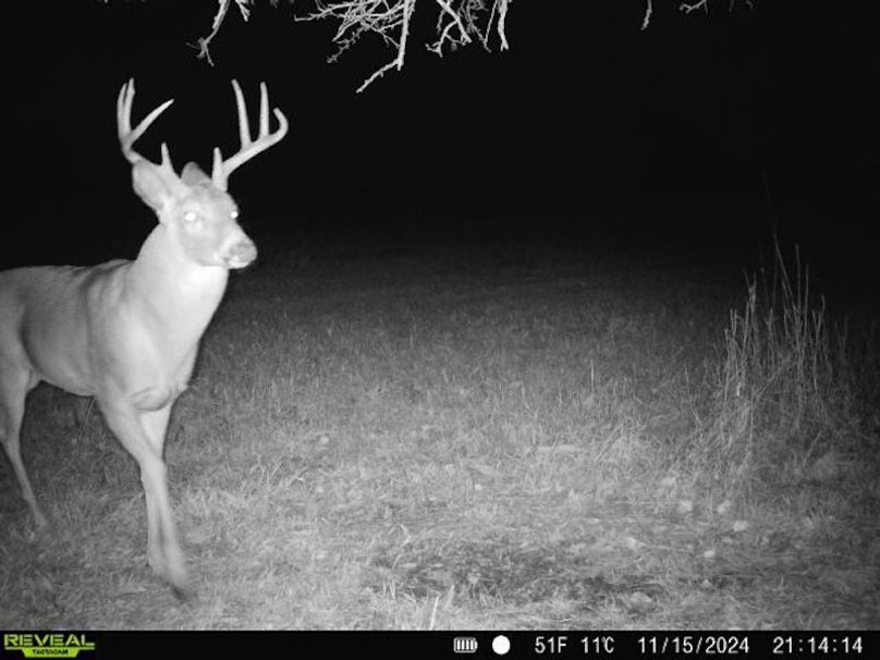 868032067092464-100-4-11152024211414-W1023767