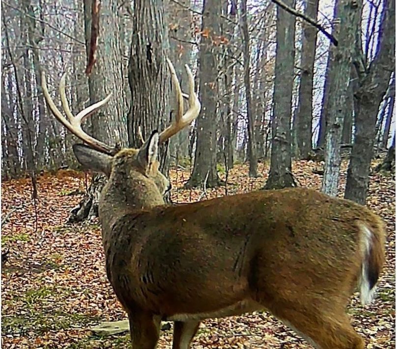 Screen Shot 2025-10-07 at 11.39.13 AM