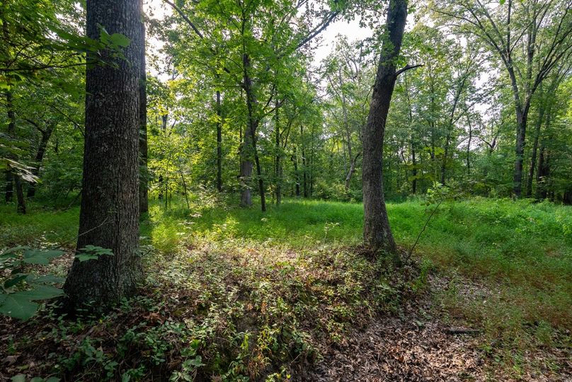 Copy of DSC06226 Large