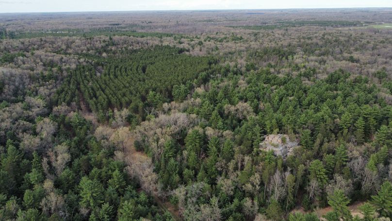 dji_fly_20230509_171558_401_1683724353699_photo_optimized