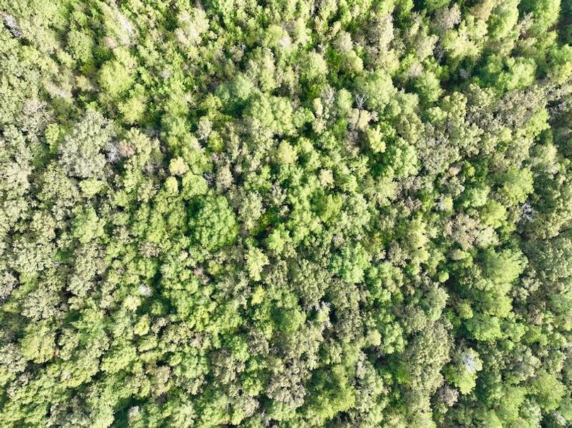 dji_fly_20251007_100958_229_1759846413980_photo