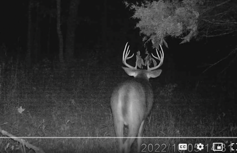 Screen Shot 2024-01-22 at 6.07.55 AM