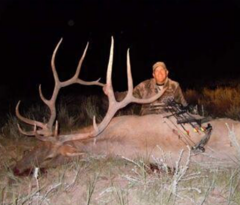 12.12 Bull elk.2