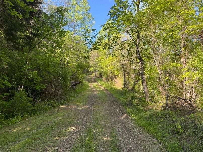 017 nice open trail system leading throughout