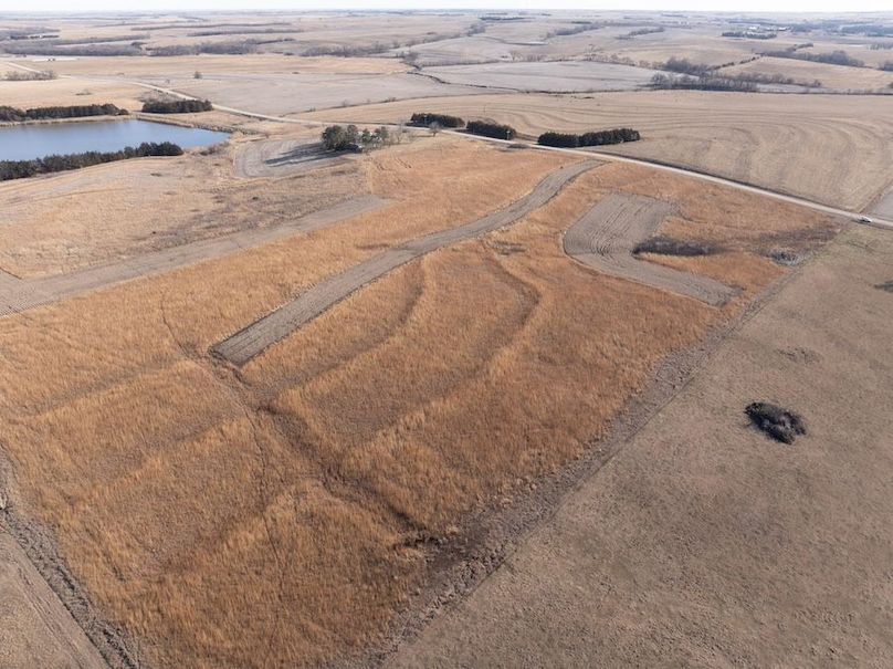 DJI_20260112142250_0110_D