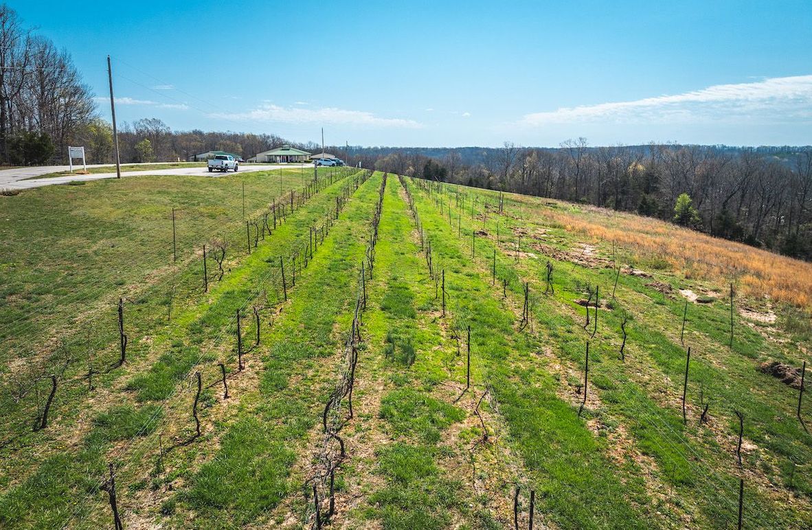 DJI_20250410112713_0033_D