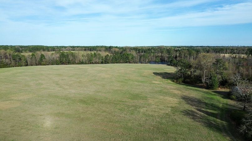 7 - drone open field