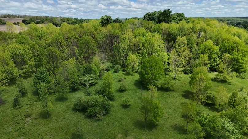43 DJI_20260531012207_0006_D