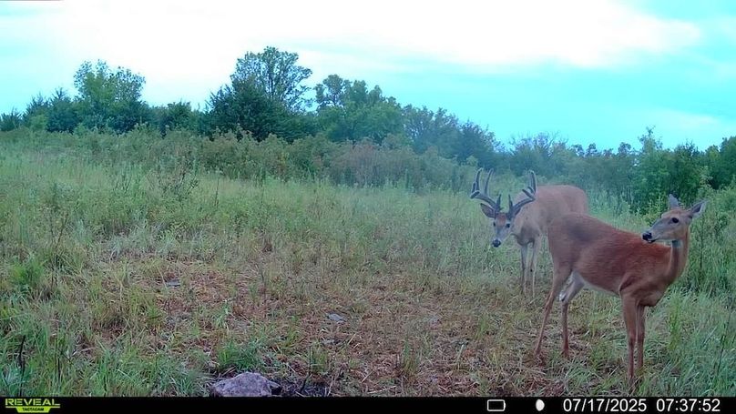 016578004503154-1-3-07172025073752-SYFW11135