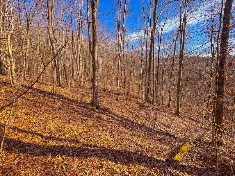 Lewis, WV 82.87 AC Barger-18