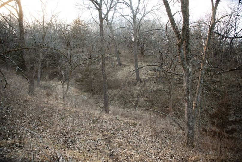 MONTGOMERY CO IA 156.78_47